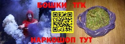 крисы Моздок