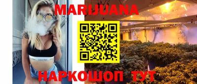 крисы Моздок