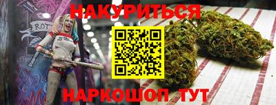 крисы Моздок