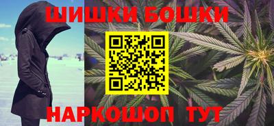 крисы Моздок