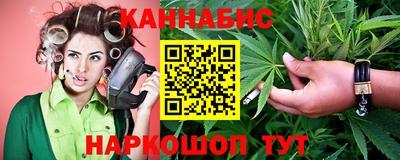 крисы Моздок