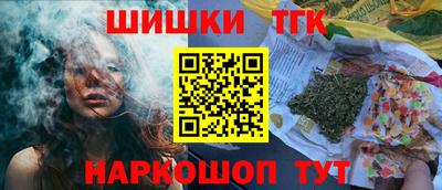крисы Моздок