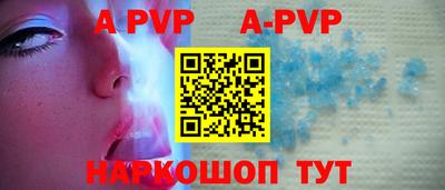 крисы Моздок