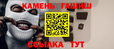 крисы Моздок