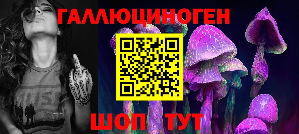 Галлюциногенные грибы ЛСД Урус-Мартан
