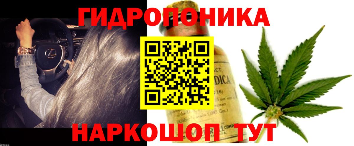 Урус-Мартан  Конопля LSD WEED  Вход с VPN  Каннабис Amnesia 